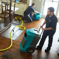 Livonia Mold Inspection business image in Livonia, MI