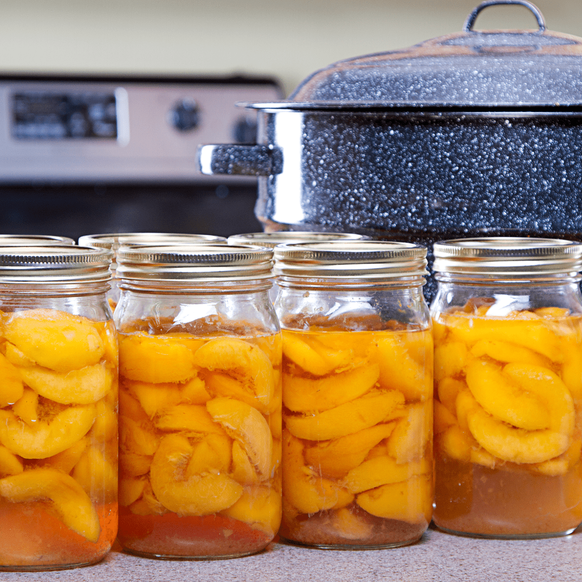 Suttons Daze business image in Mikado, MI